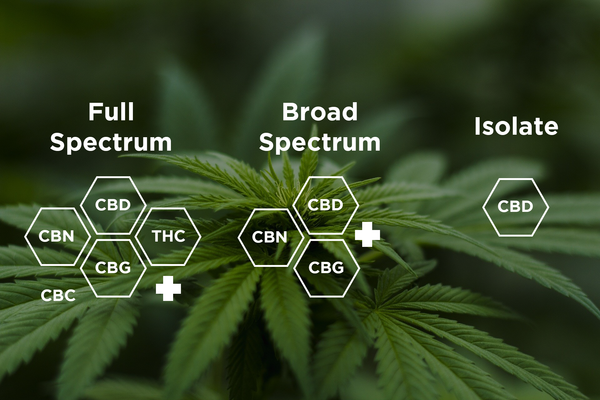 Full Spectrum, Broad Spectrum, and Isolate: Which Should You Choose?